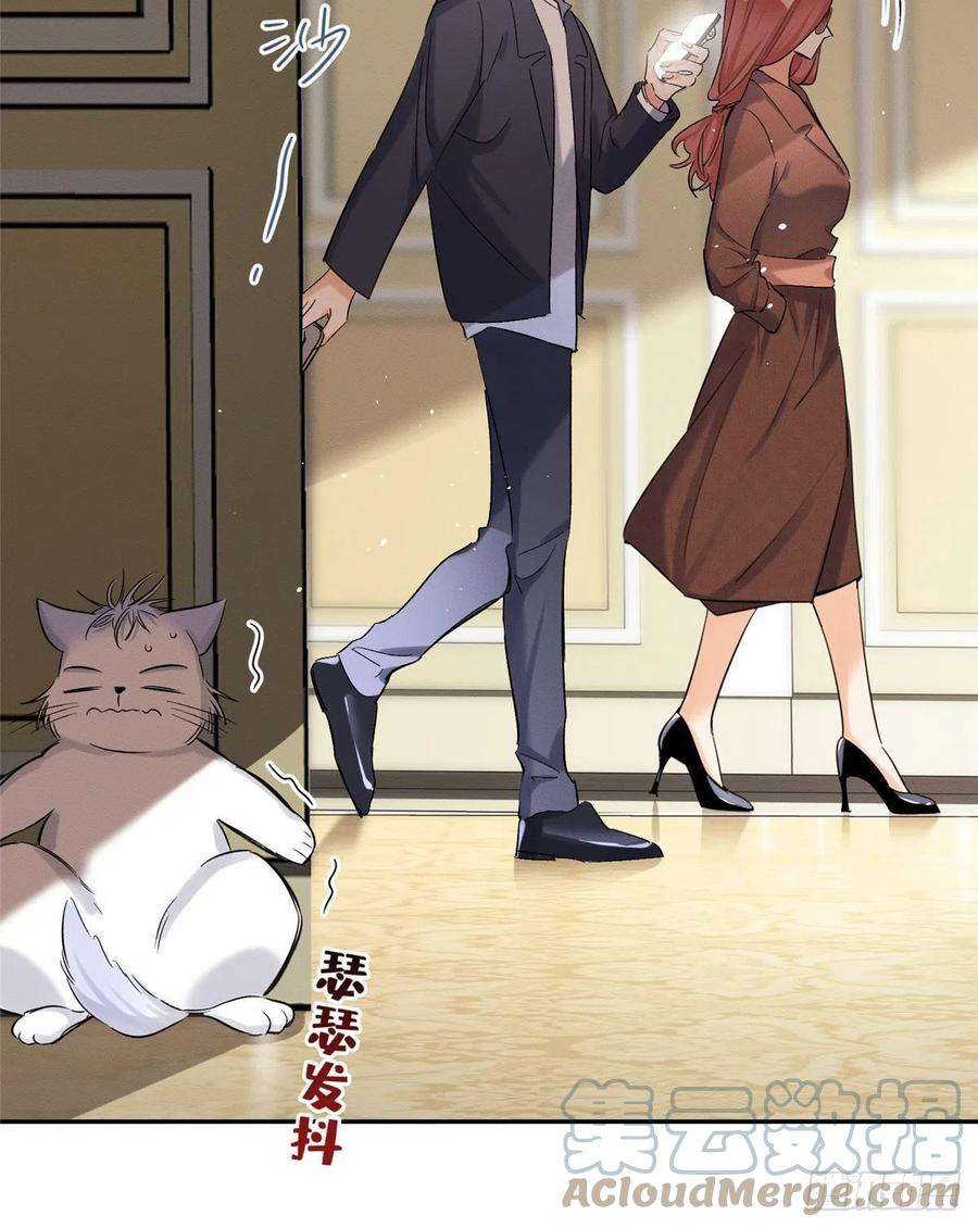 今天也要努力当只猫47坏女人！