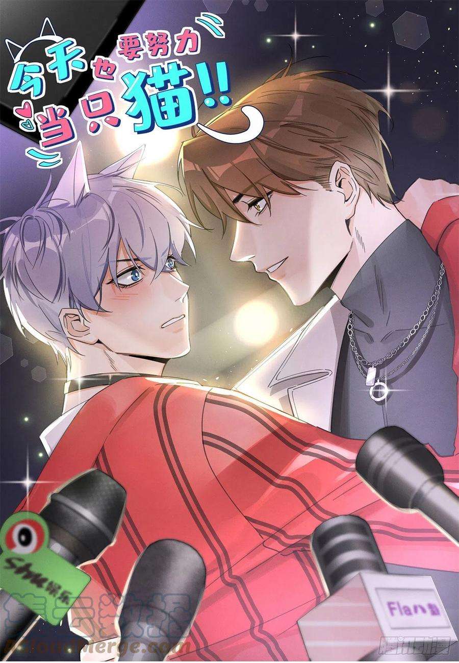 今天也要努力当只猫48英雄救猫狗