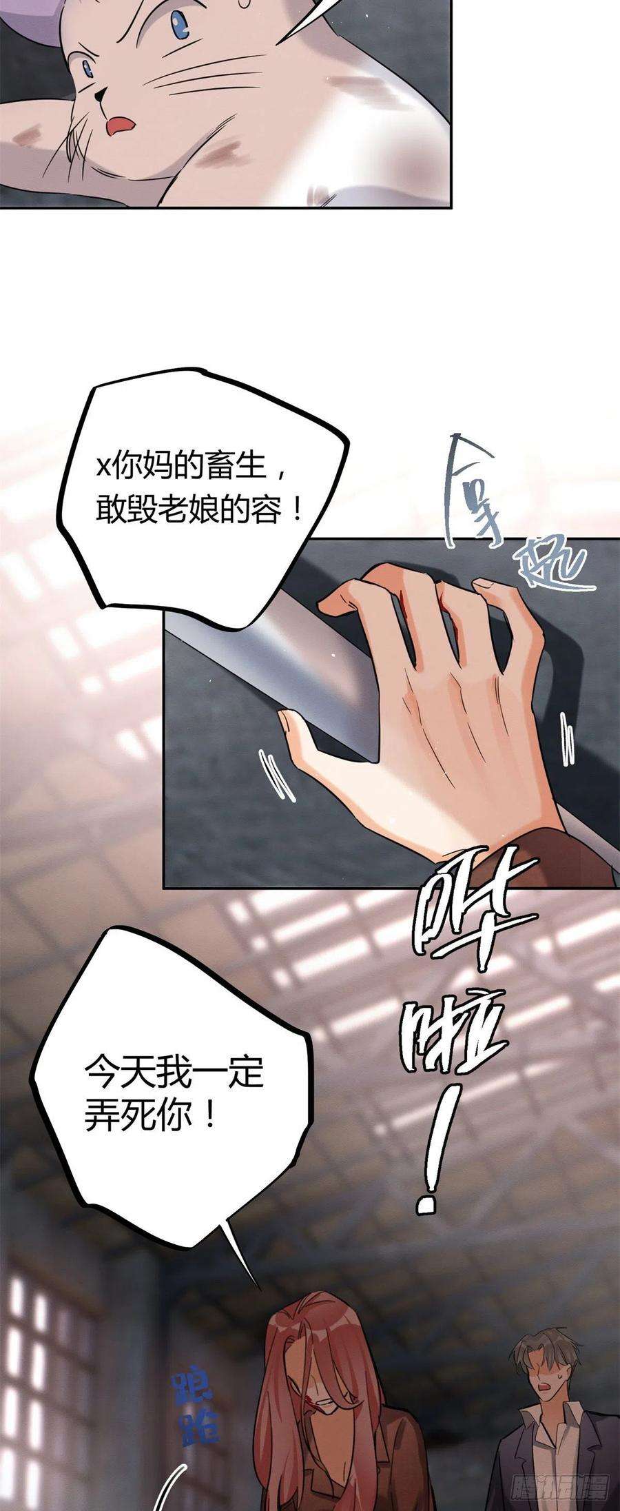 今天也要努力当只猫48英雄救猫狗