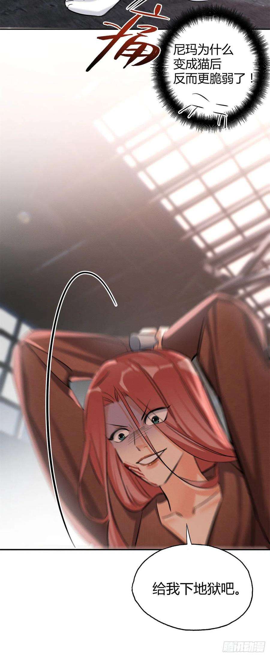 今天也要努力当只猫48英雄救猫狗