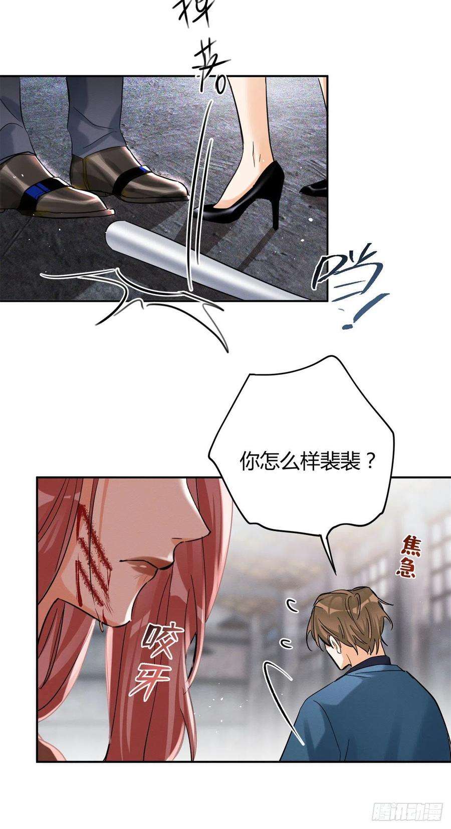 今天也要努力当只猫48英雄救猫狗