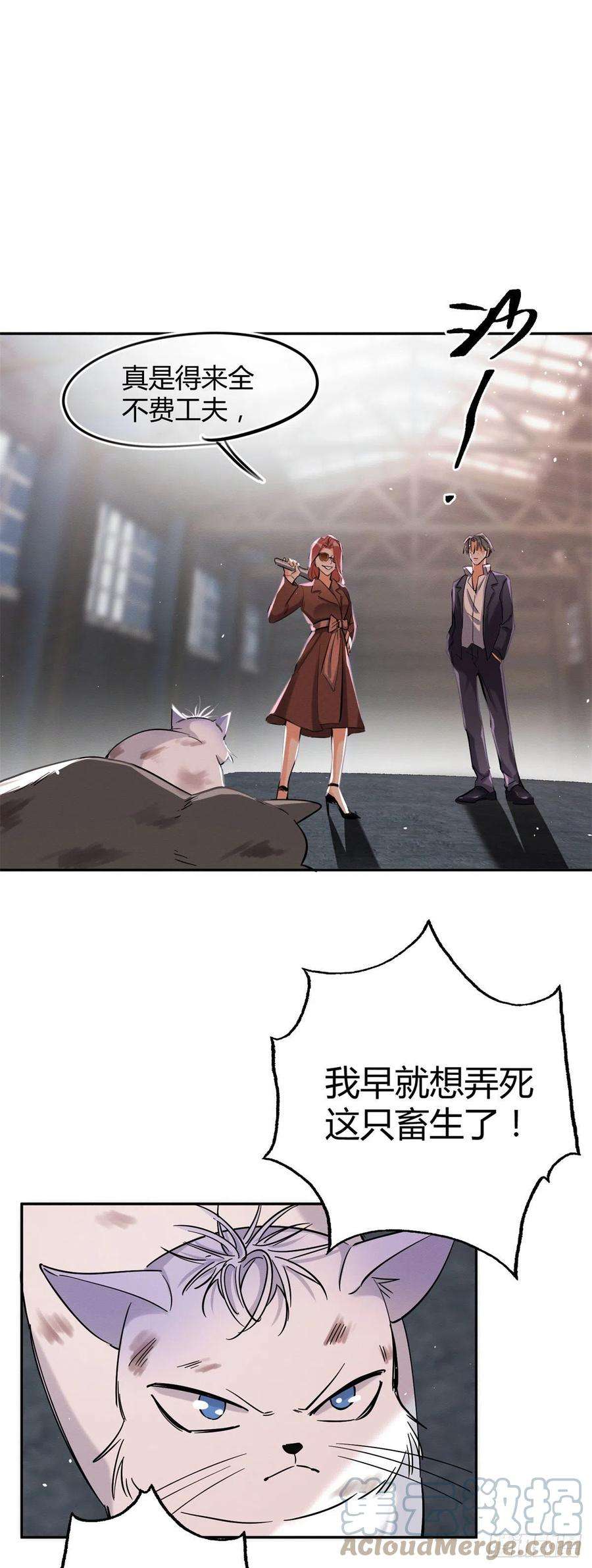 今天也要努力当只猫48英雄救猫狗