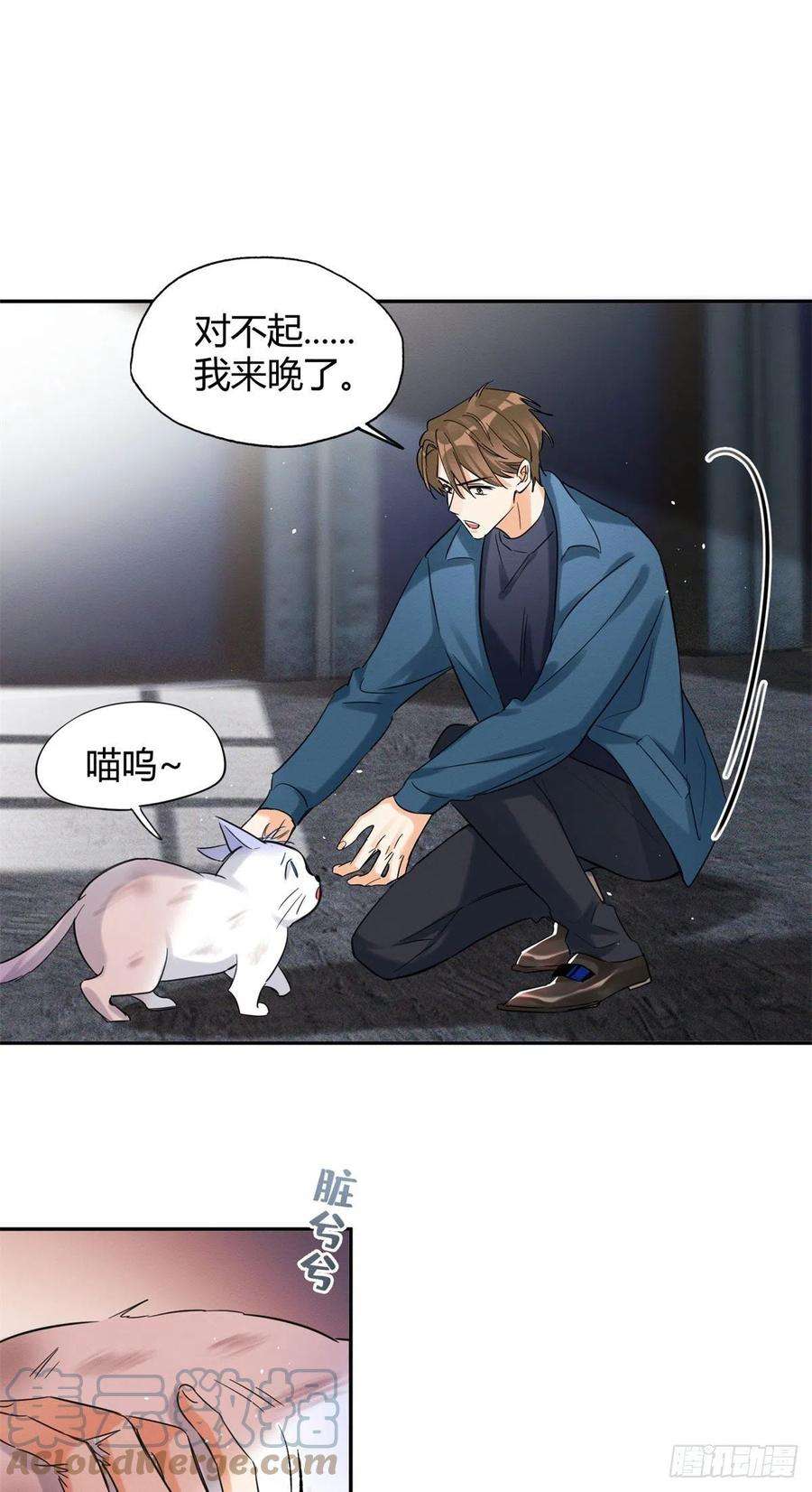 今天也要努力当只猫48英雄救猫狗