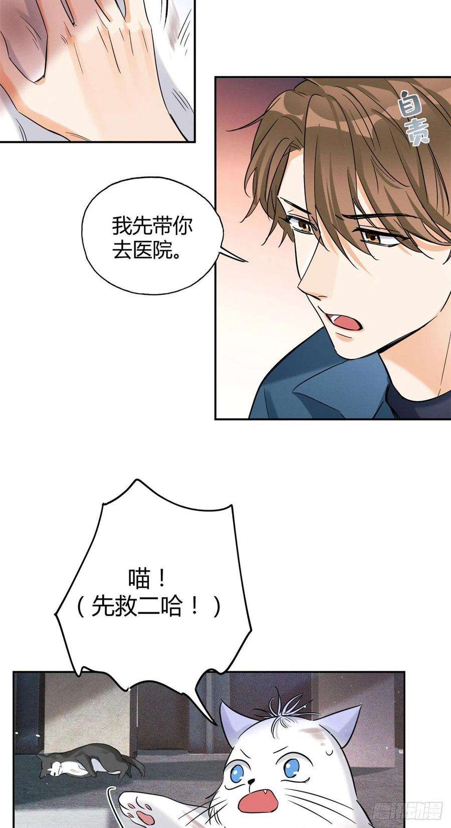 今天也要努力当只猫48英雄救猫狗