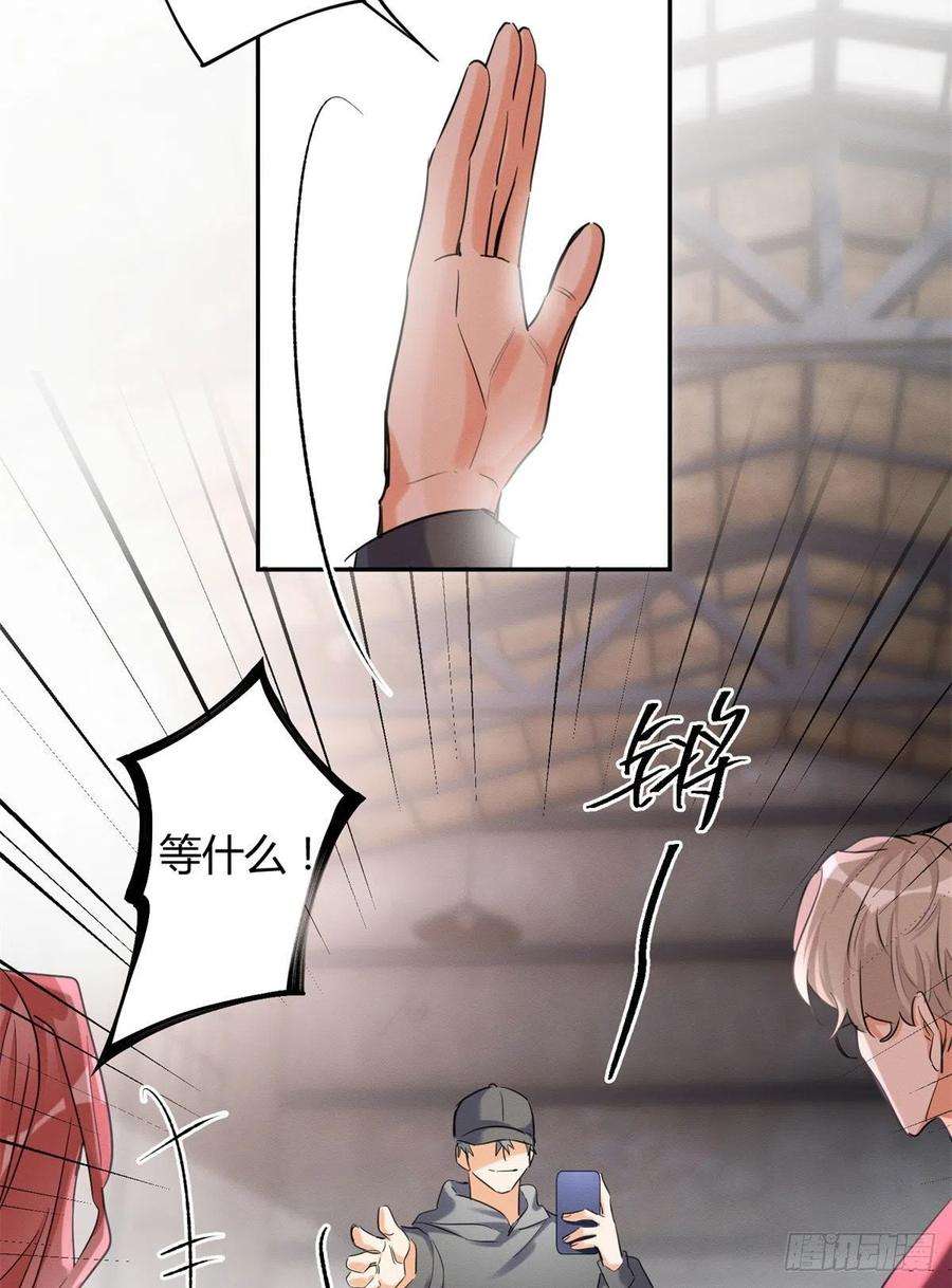 今天也要努力当只猫48英雄救猫狗