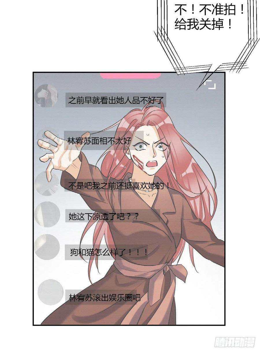 今天也要努力当只猫48英雄救猫狗