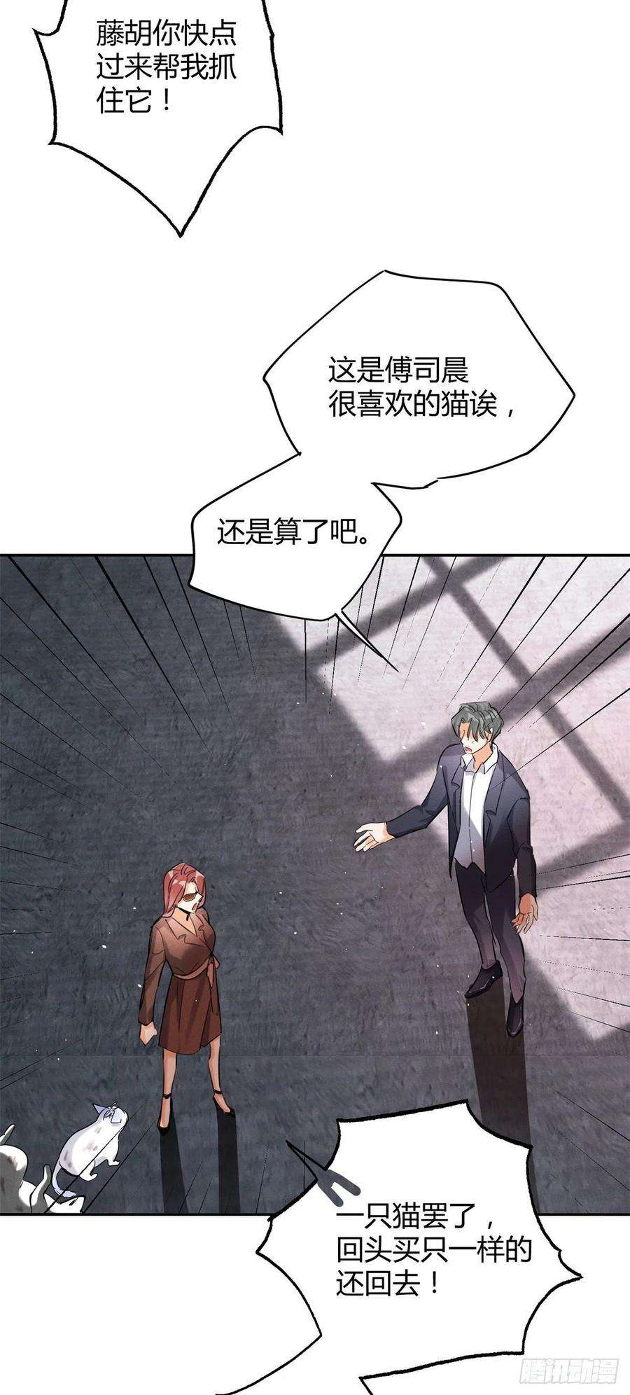 今天也要努力当只猫48英雄救猫狗