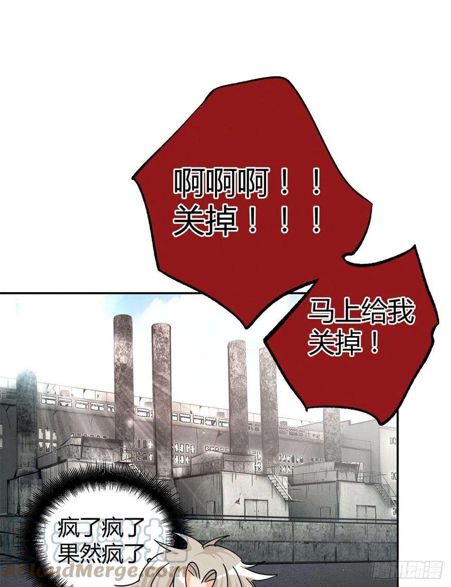 今天也要努力当只猫48英雄救猫狗