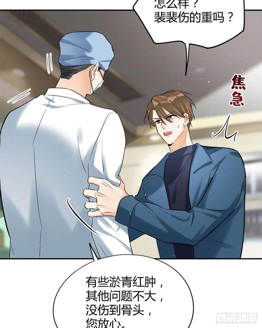 今天也要努力当只猫48英雄救猫狗