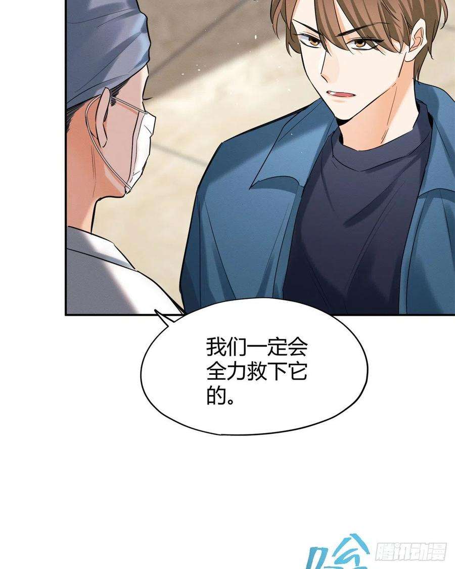 今天也要努力当只猫48英雄救猫狗