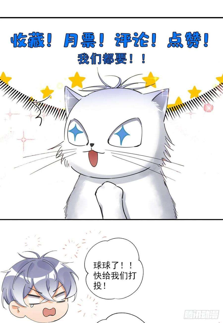 今天也要努力当只猫48英雄救猫狗