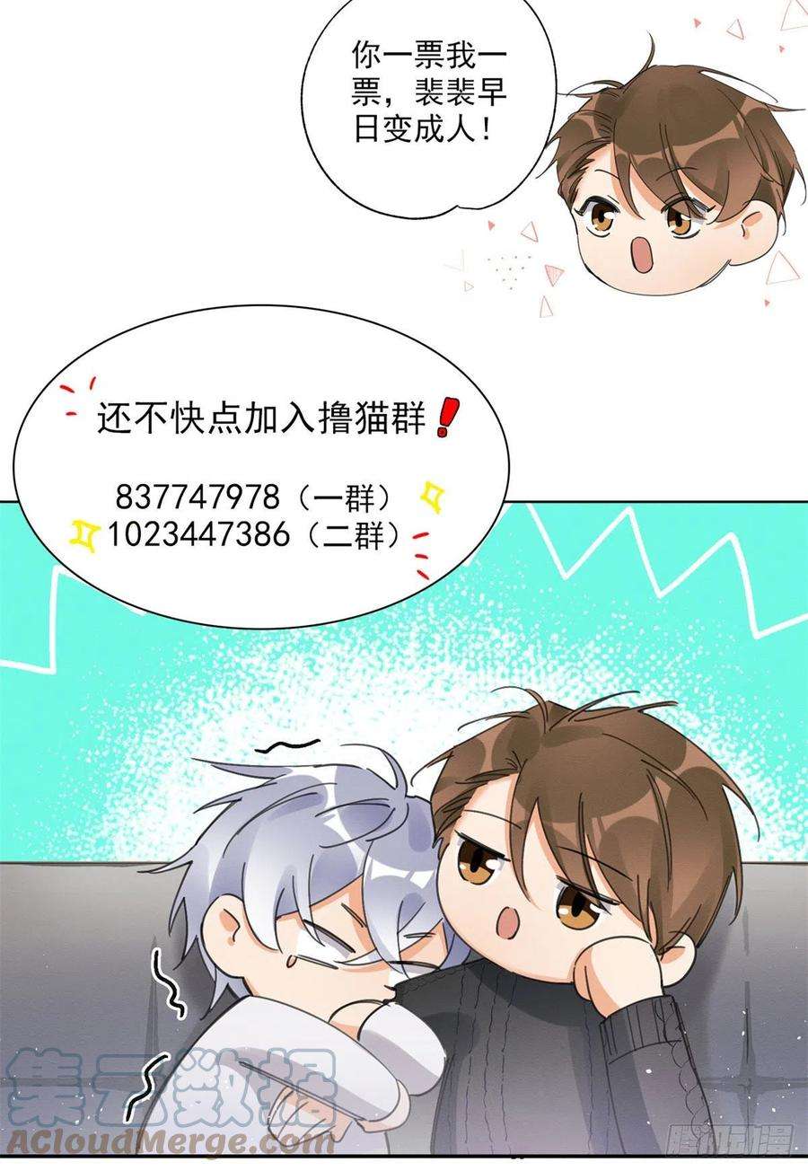 今天也要努力当只猫48英雄救猫狗