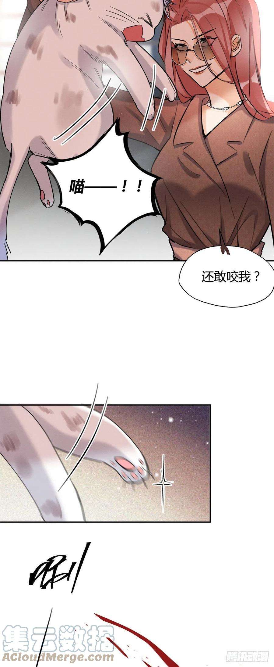 今天也要努力当只猫48英雄救猫狗