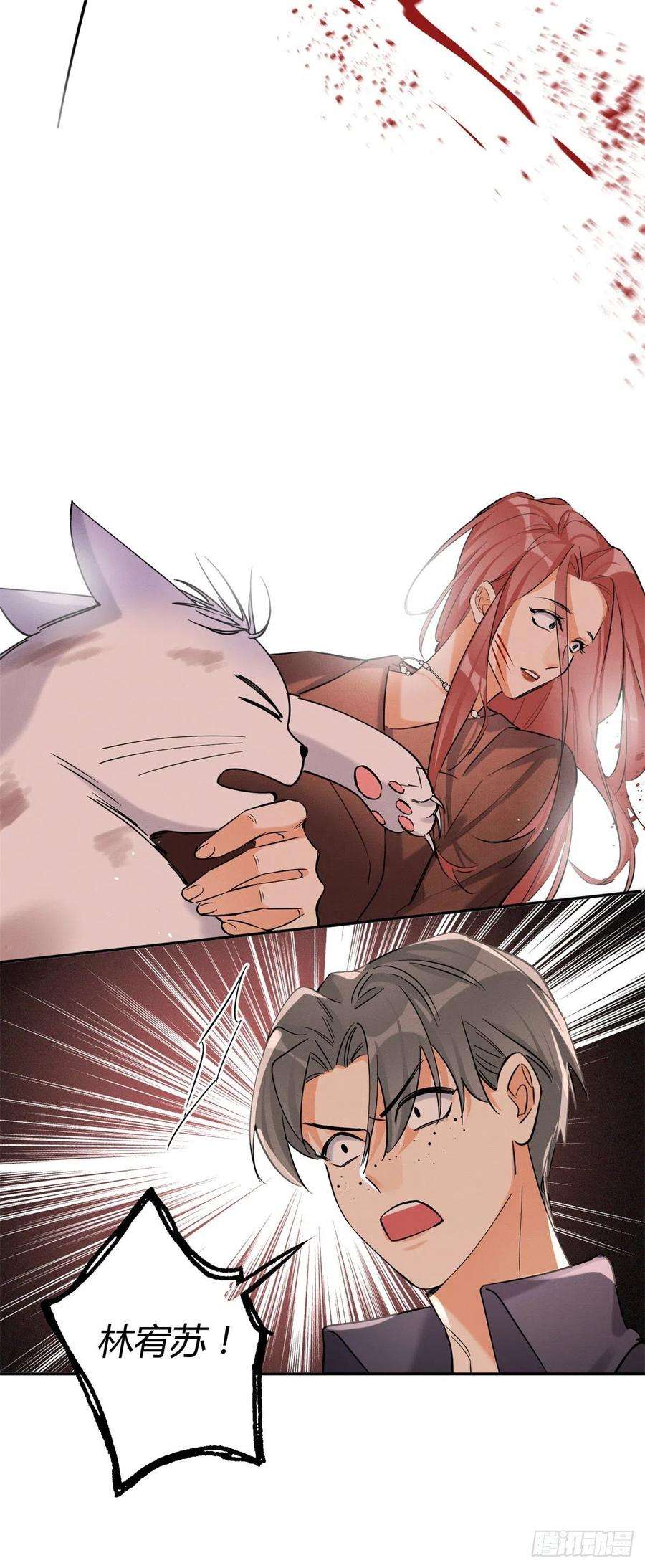 今天也要努力当只猫48英雄救猫狗