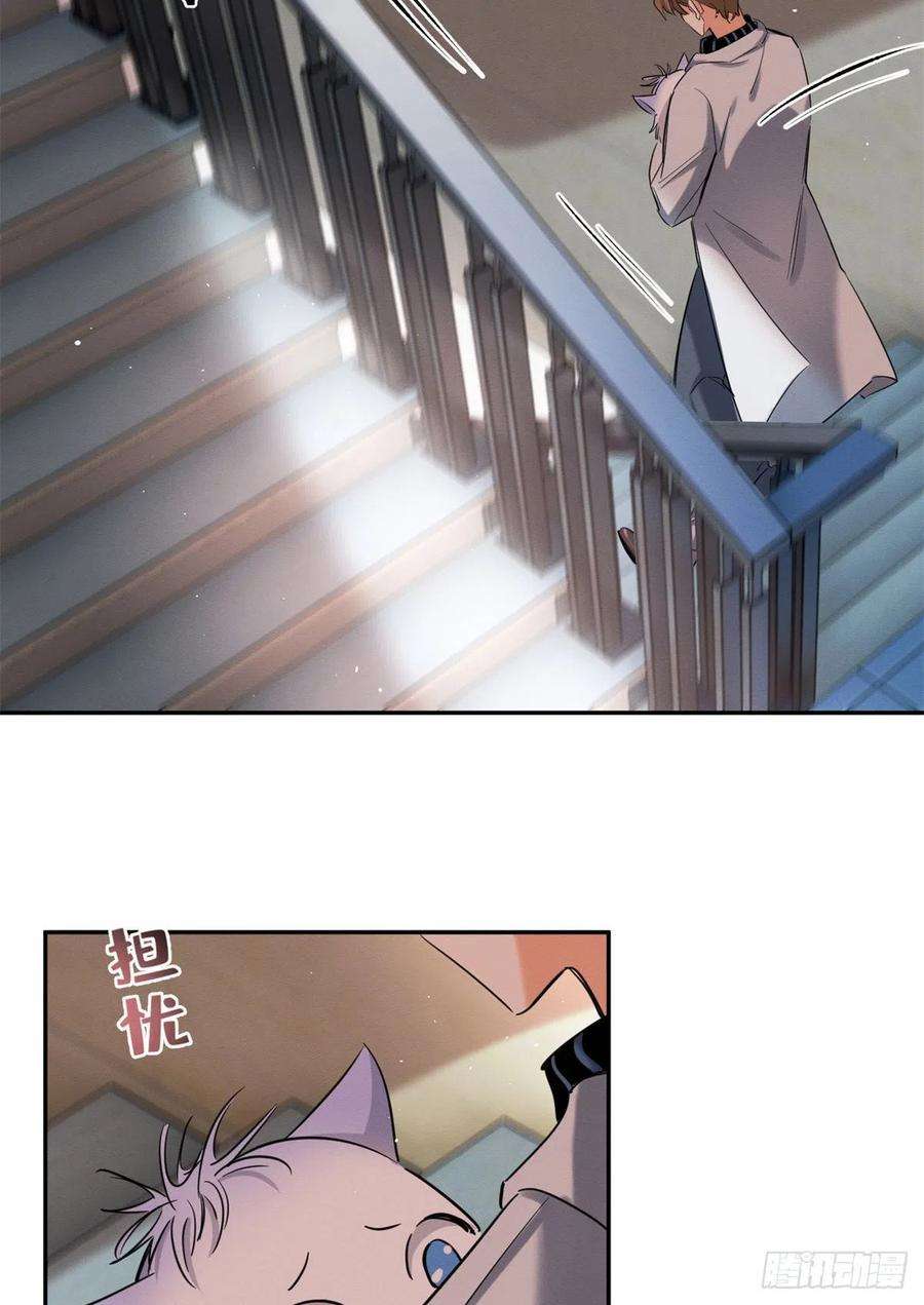 今天也要努力当只猫50 地震