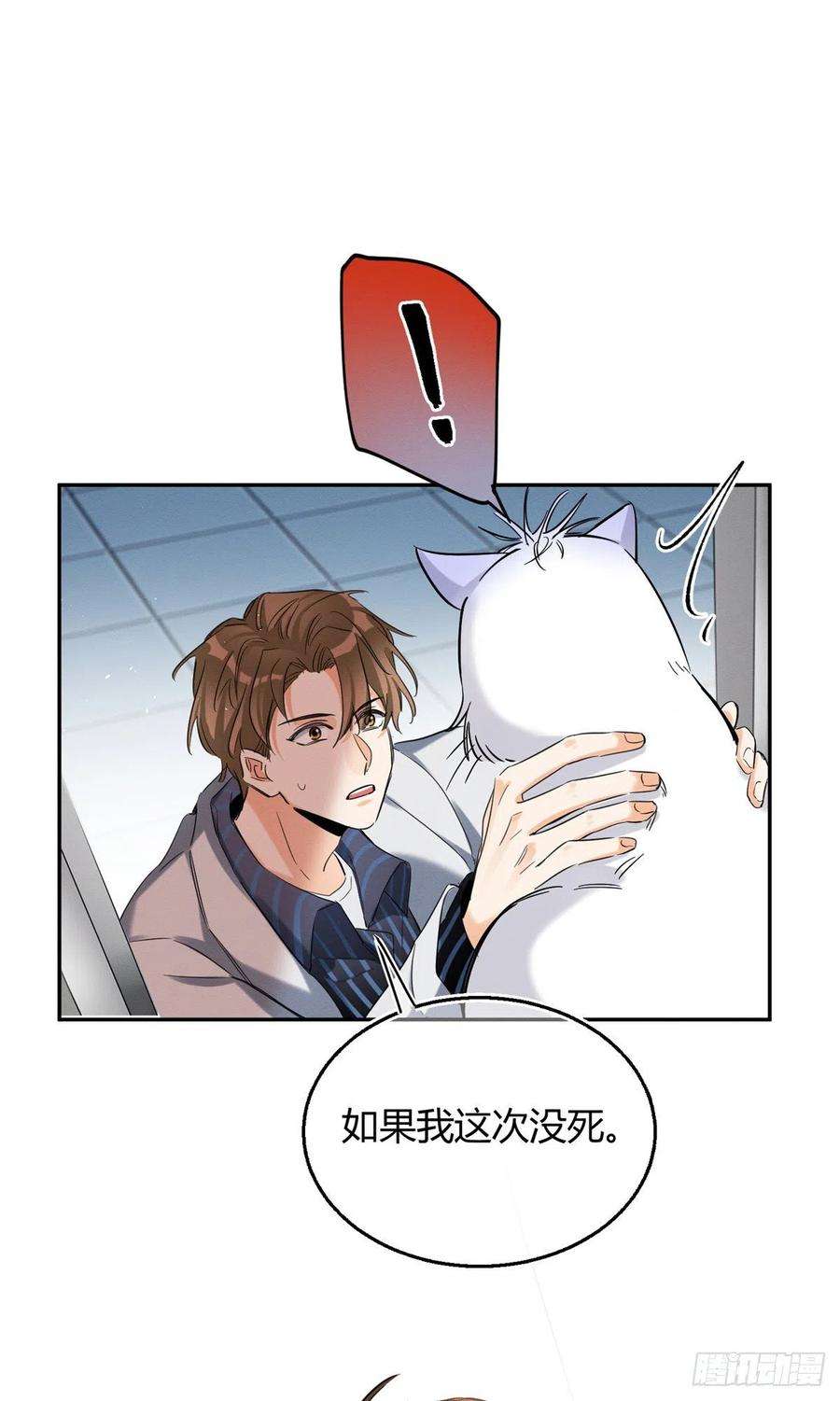 今天也要努力当只猫50 地震