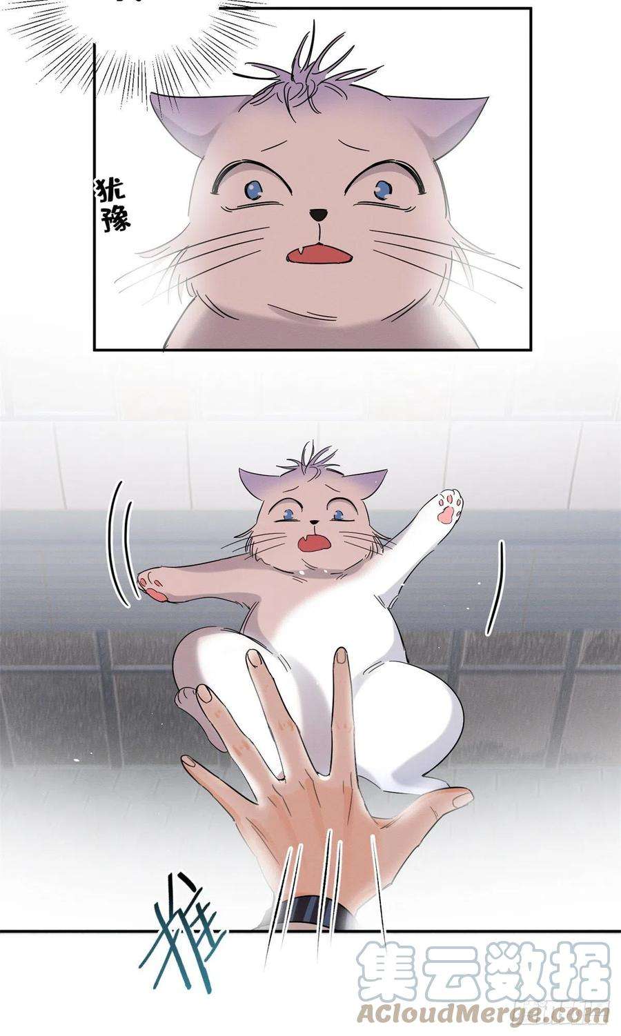 今天也要努力当只猫50 地震