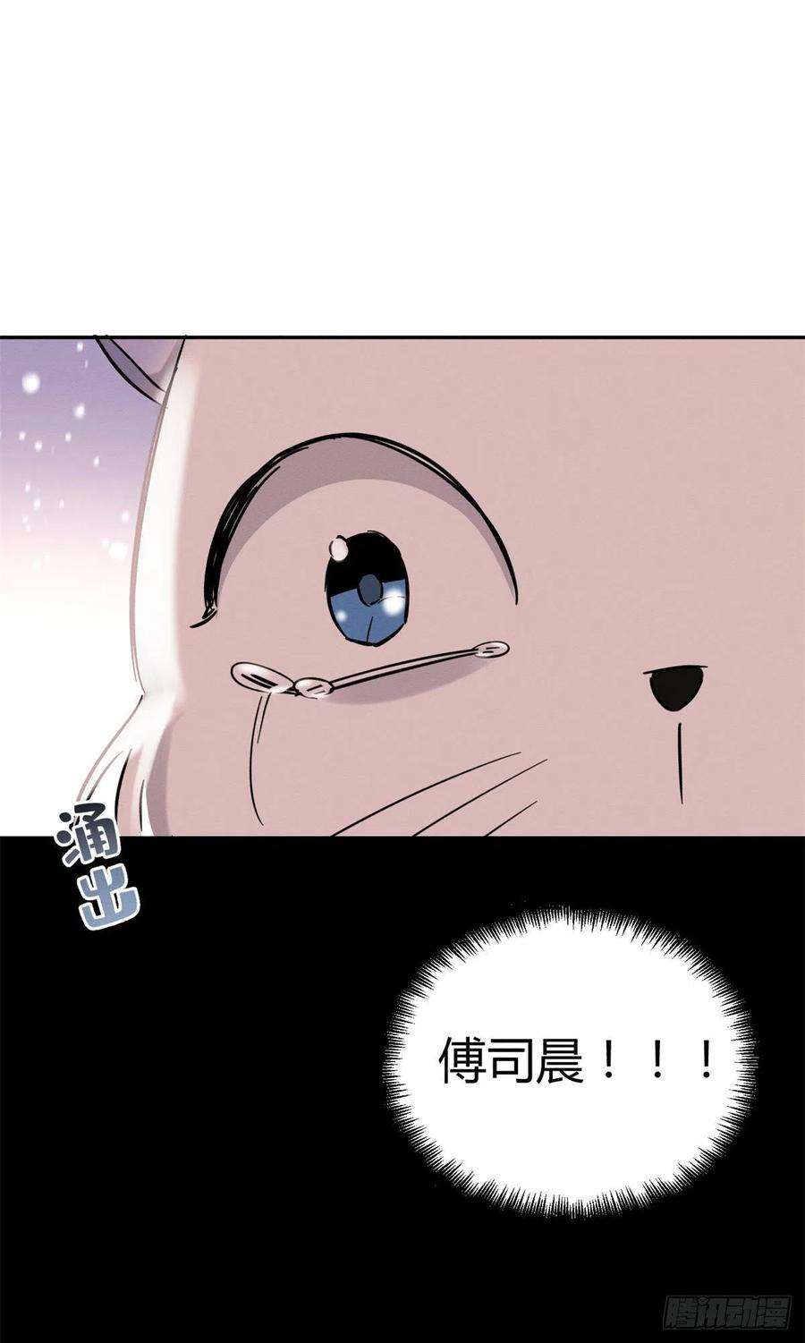 今天也要努力当只猫50 地震