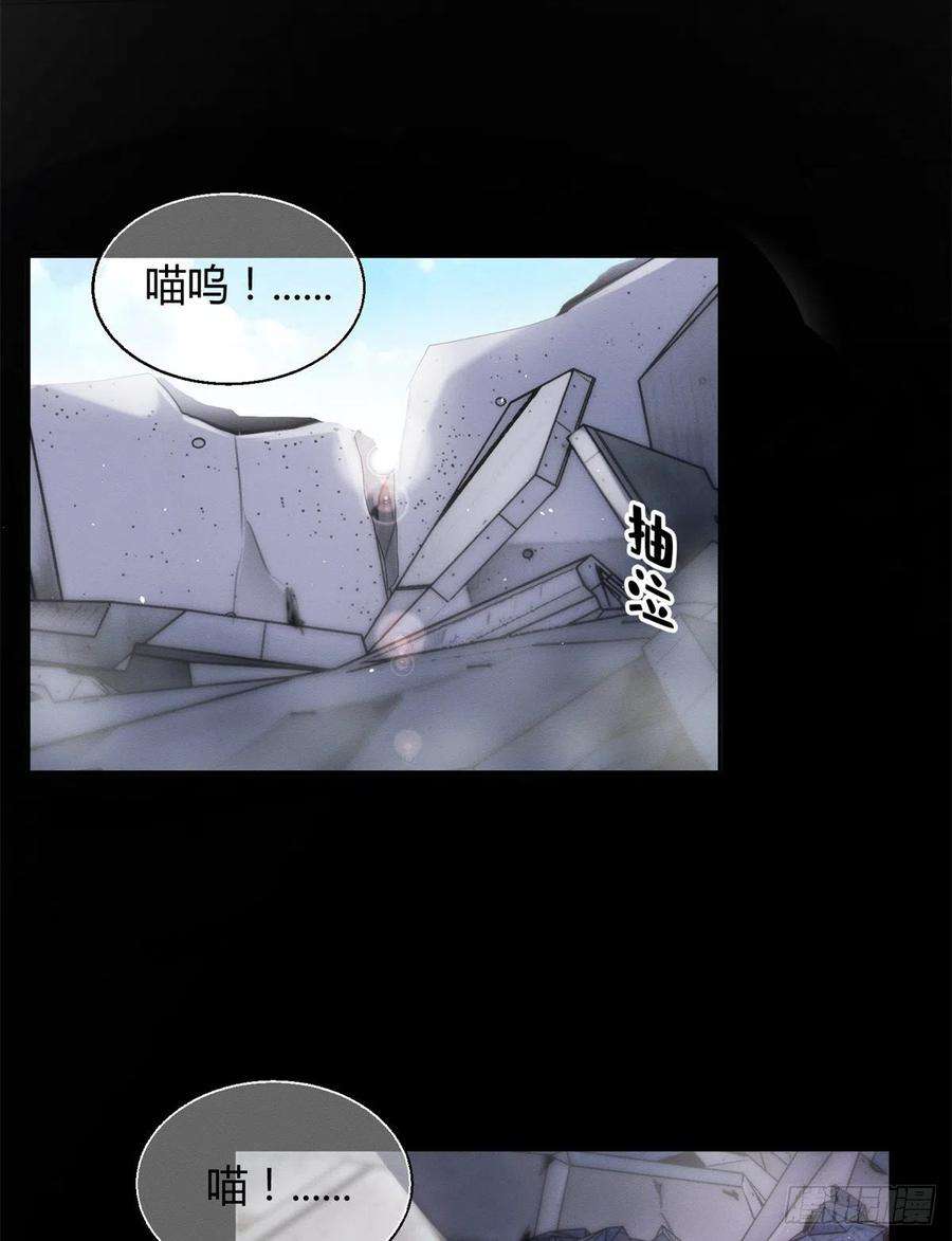 今天也要努力当只猫51 变话裴臻