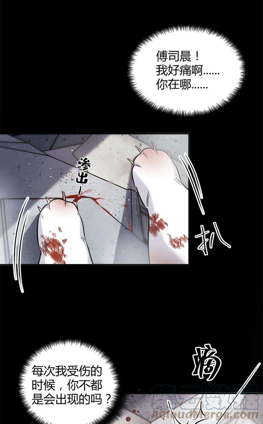 今天也要努力当只猫51 变话裴臻