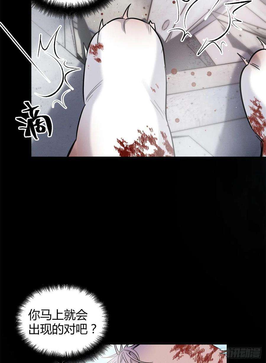 今天也要努力当只猫51 变话裴臻