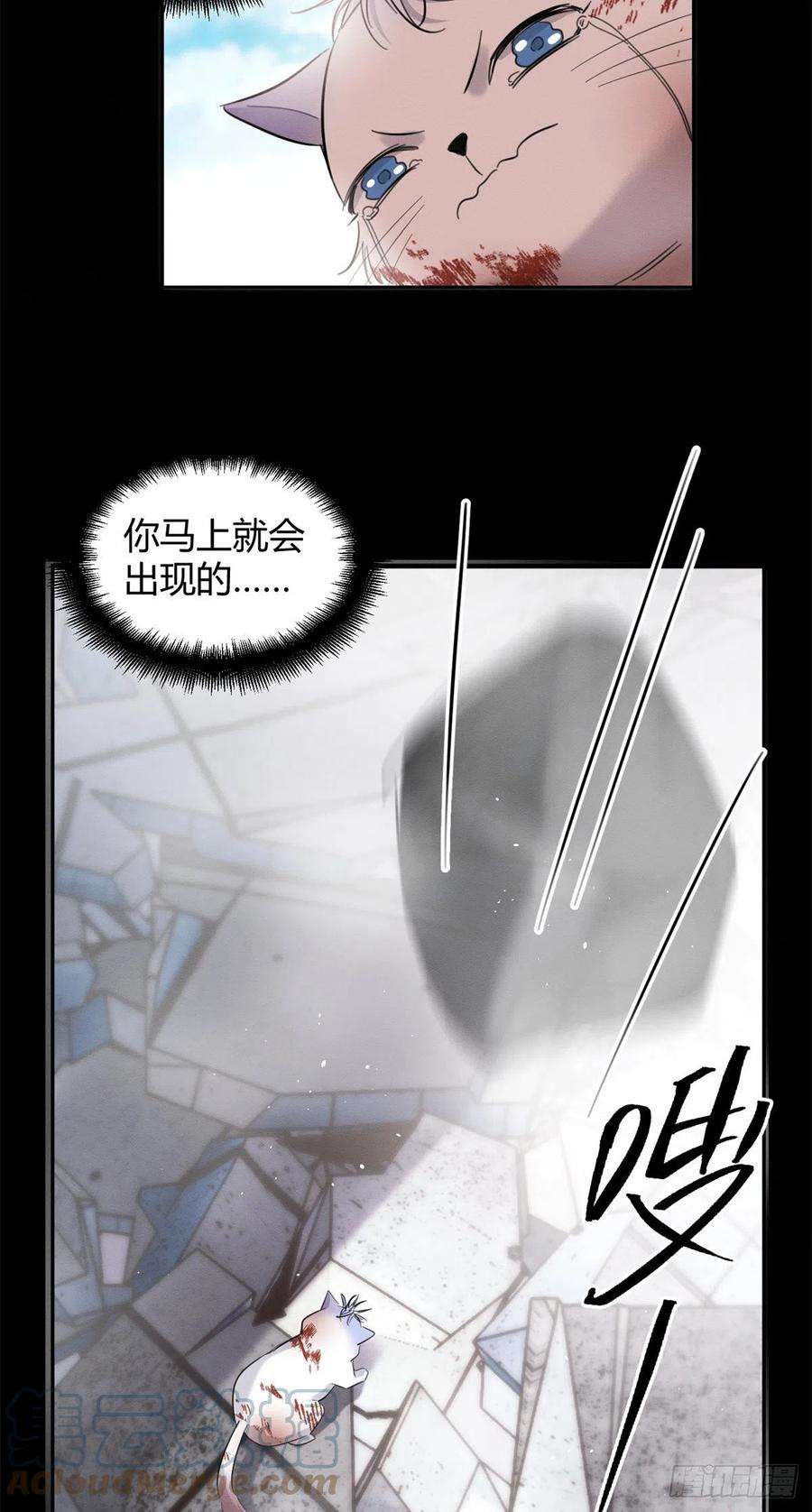 今天也要努力当只猫51 变话裴臻