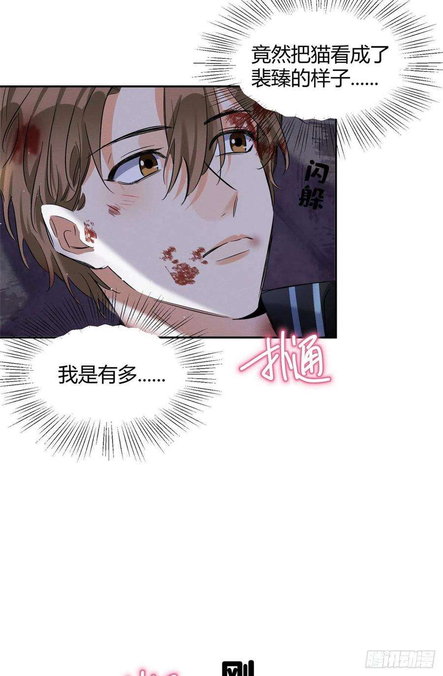 今天也要努力当只猫54我答应你了