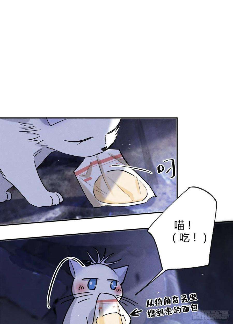 今天也要努力当只猫54我答应你了