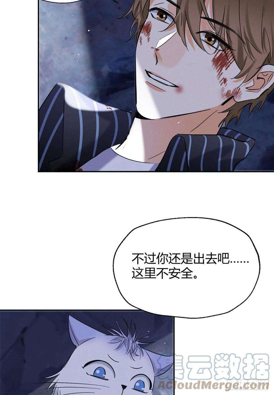 今天也要努力当只猫54我答应你了