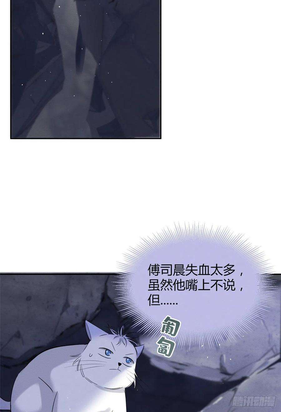 今天也要努力当只猫54我答应你了