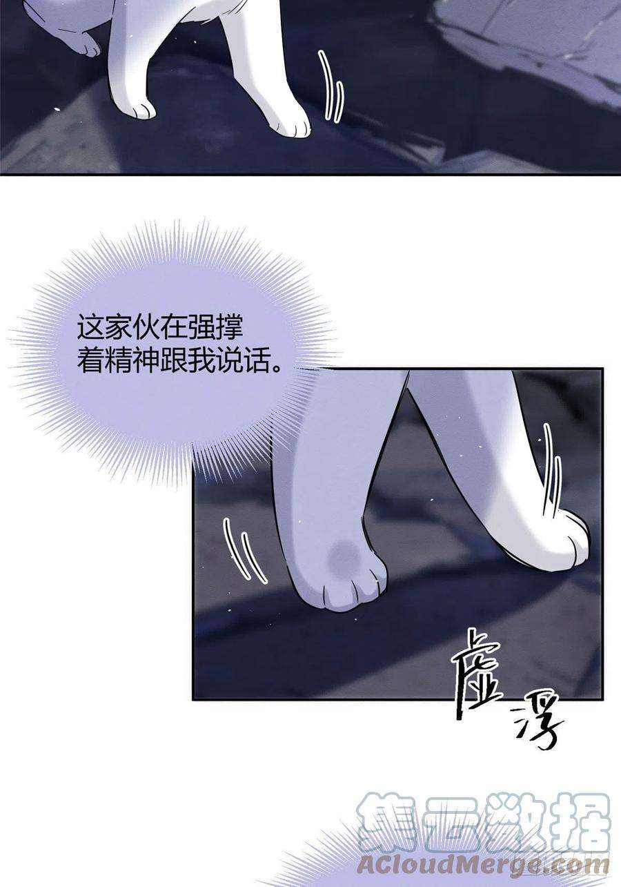 今天也要努力当只猫54我答应你了