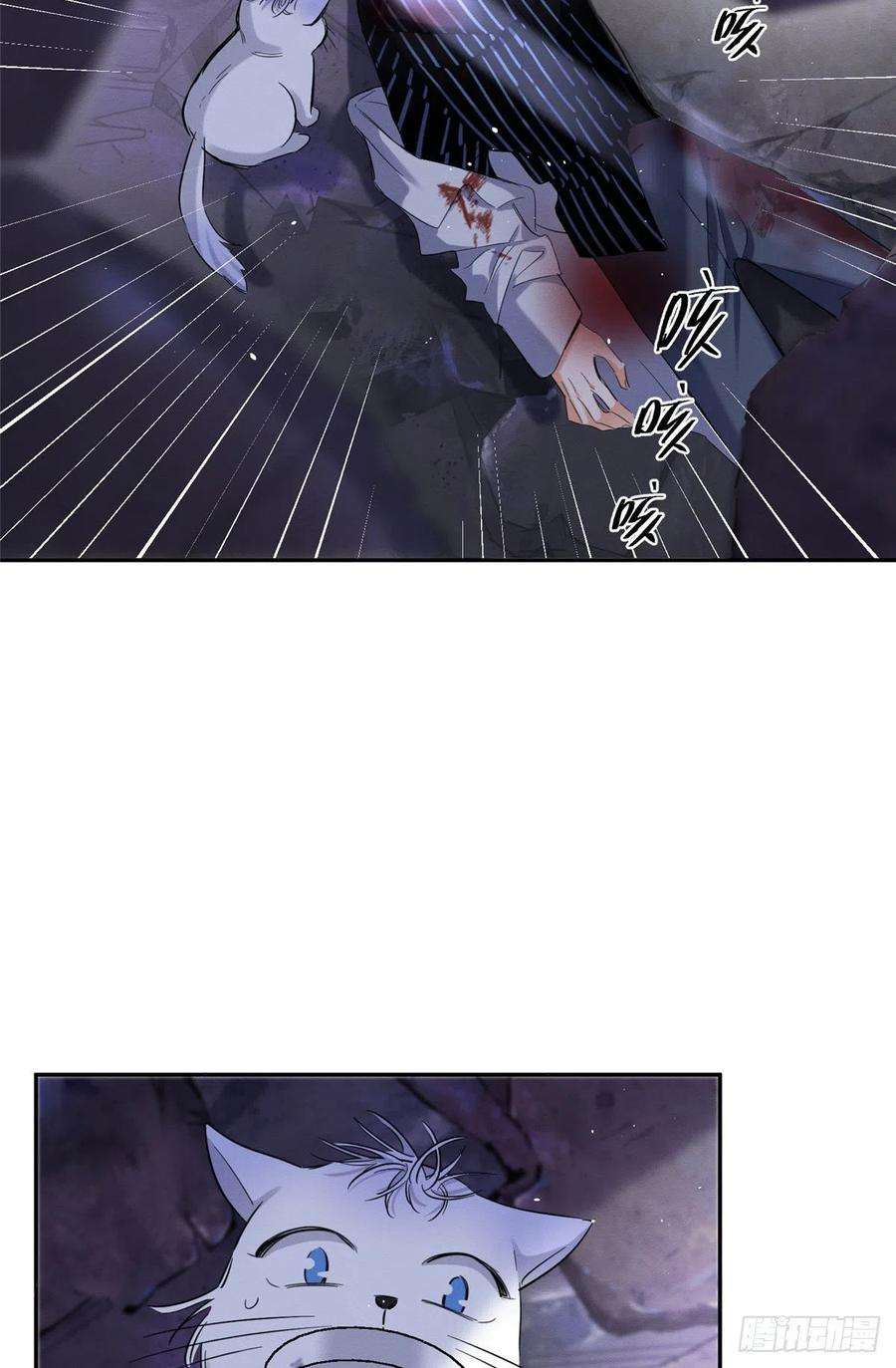 今天也要努力当只猫54我答应你了