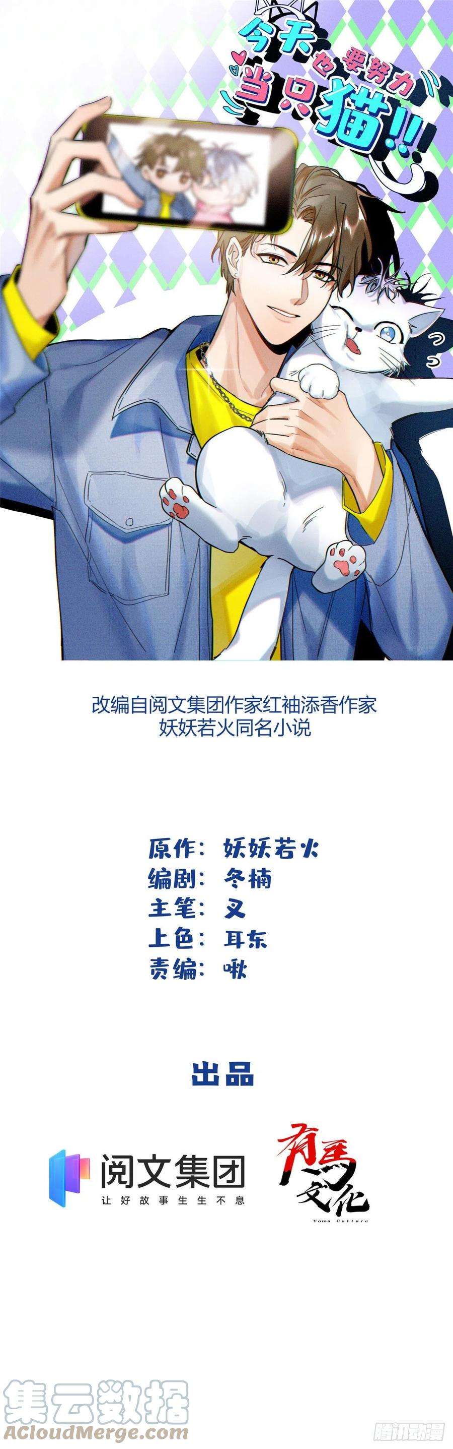 今天也要努力当只猫55 情敌见面分外眼红