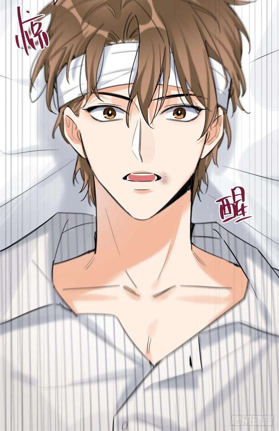 今天也要努力当只猫55 情敌见面分外眼红