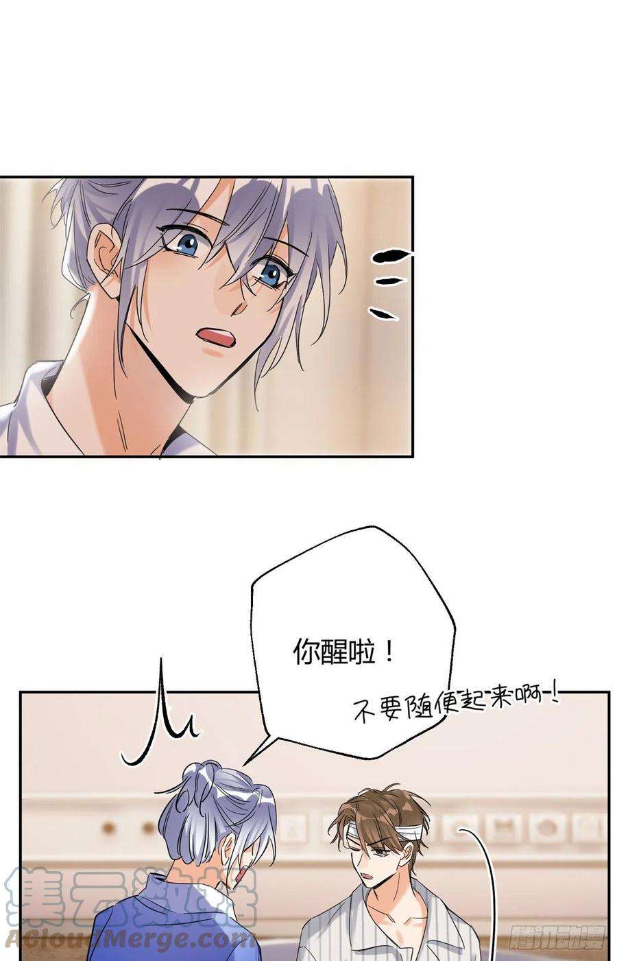 今天也要努力当只猫55 情敌见面分外眼红