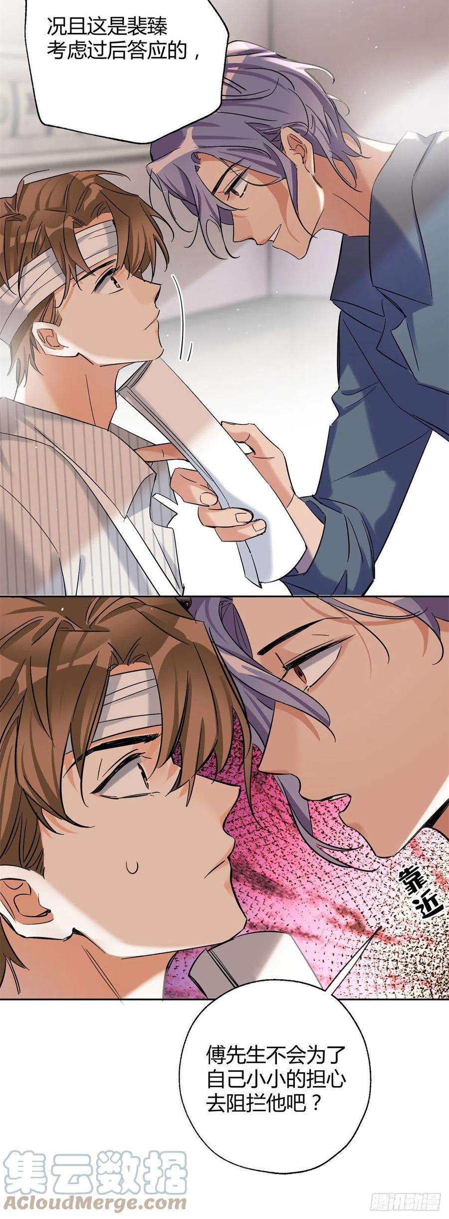 今天也要努力当只猫56 迎亲