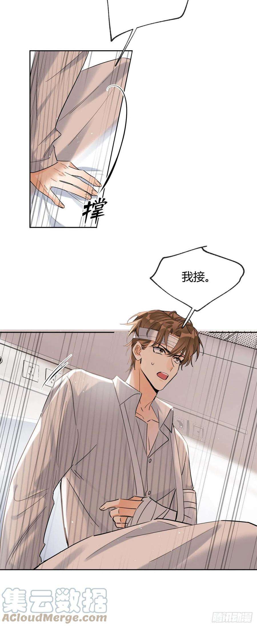 今天也要努力当只猫56 迎亲