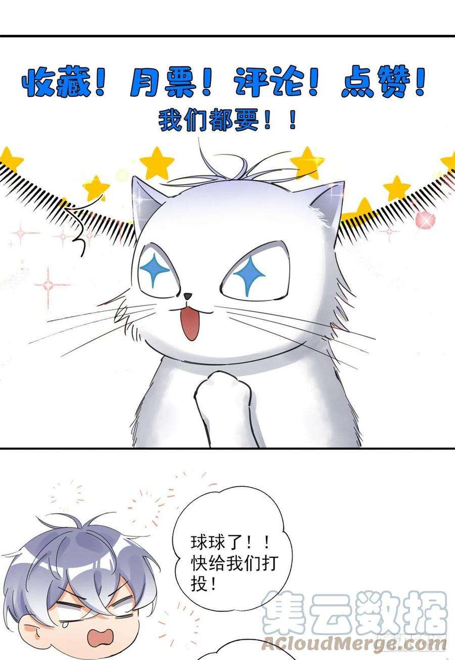 今天也要努力当只猫57 我喜欢岑