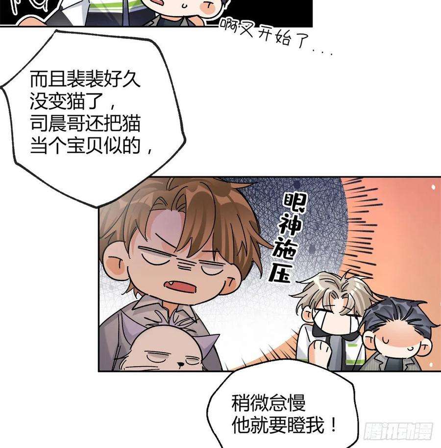 今天也要努力当只猫57 我喜欢岑