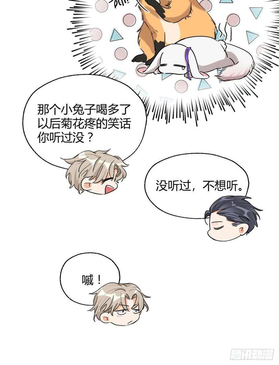 今天也要努力当只猫58 让人担心的人