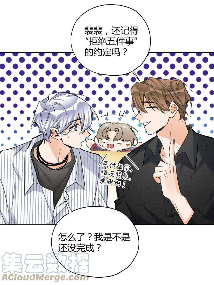 今天也要努力当只猫80【官宣！】