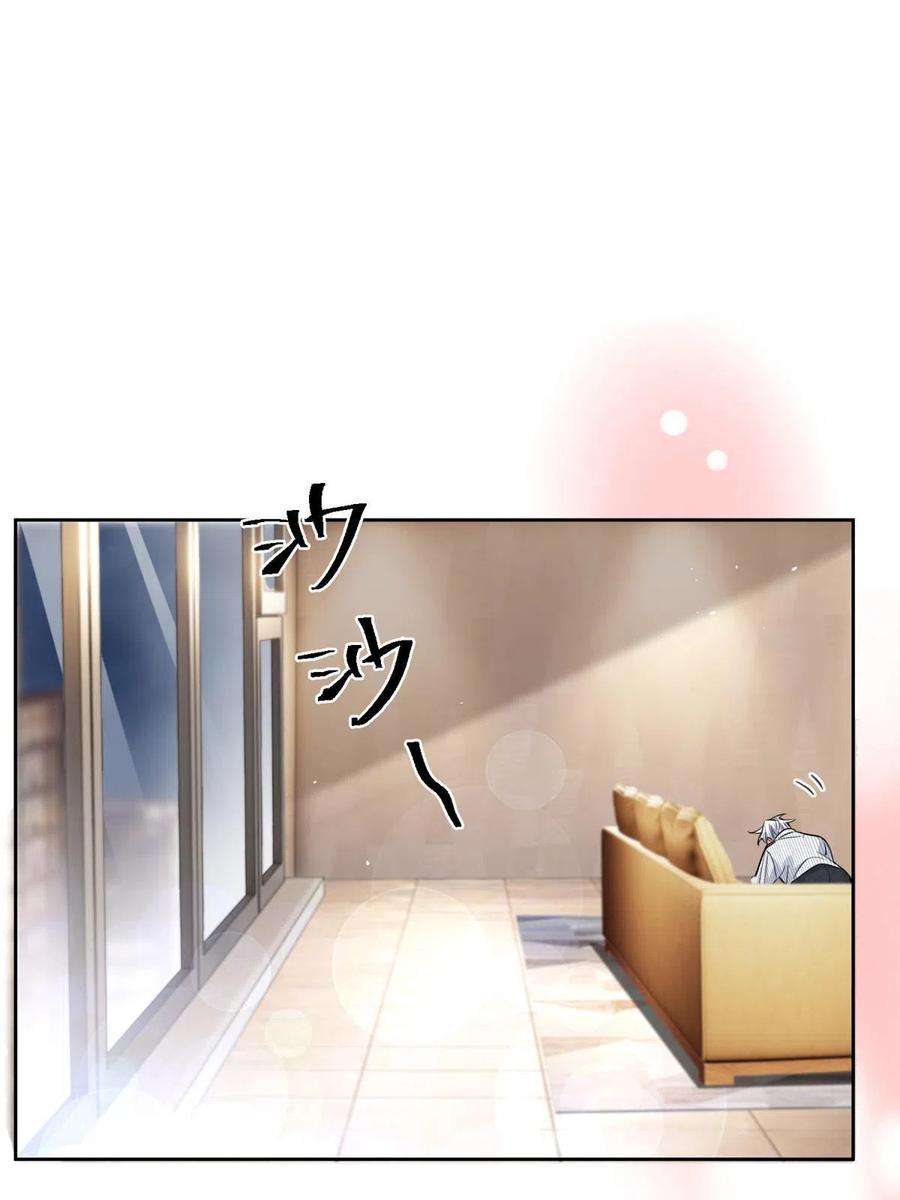 今天也要努力当只猫80【官宣！】