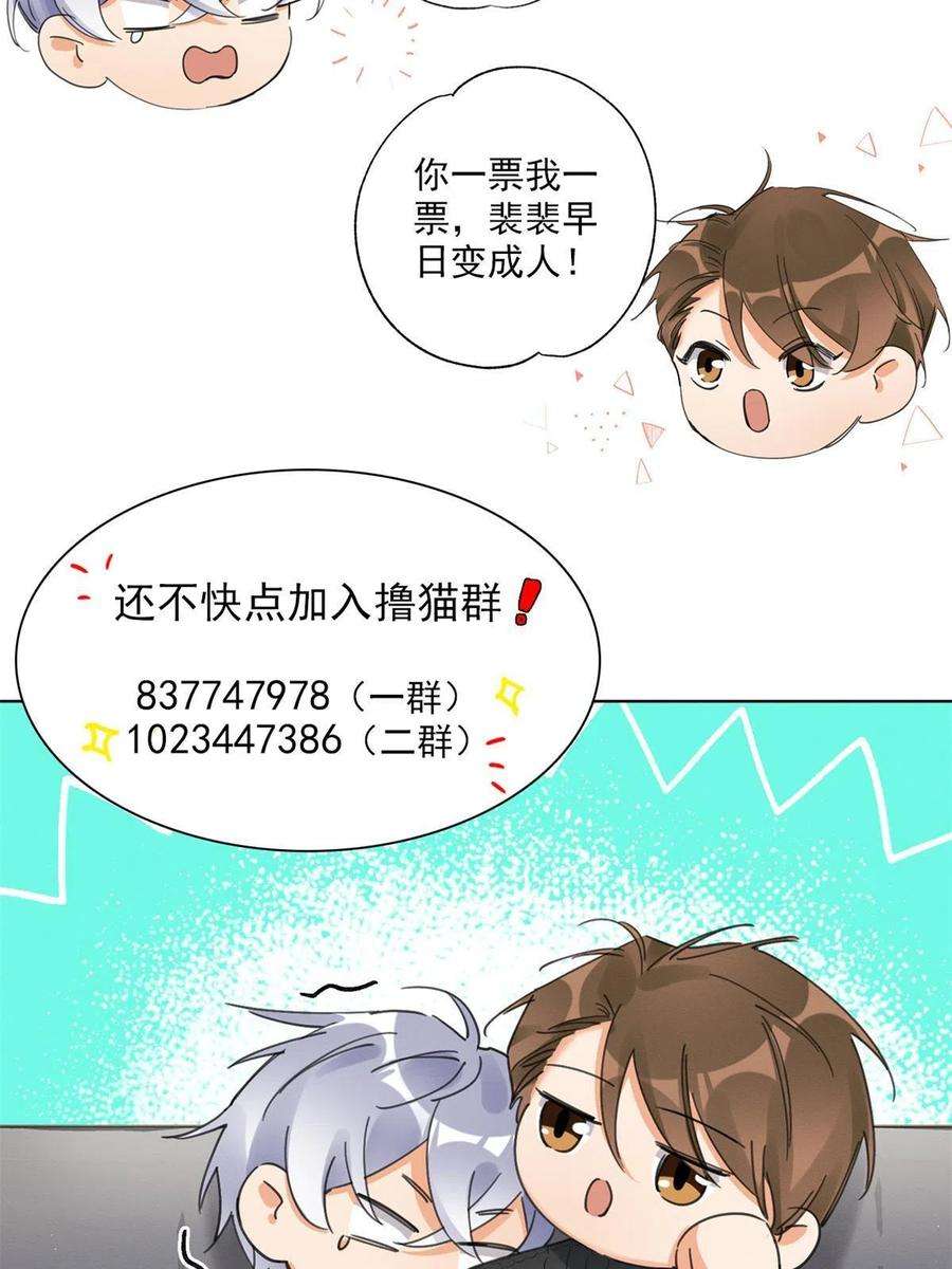 今天也要努力当只猫80【官宣！】