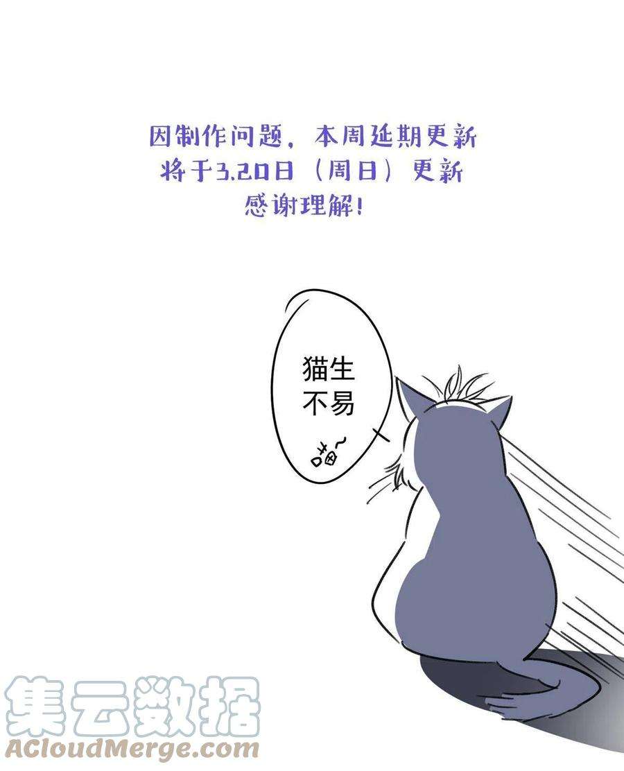 今天也要努力当只猫延期公告