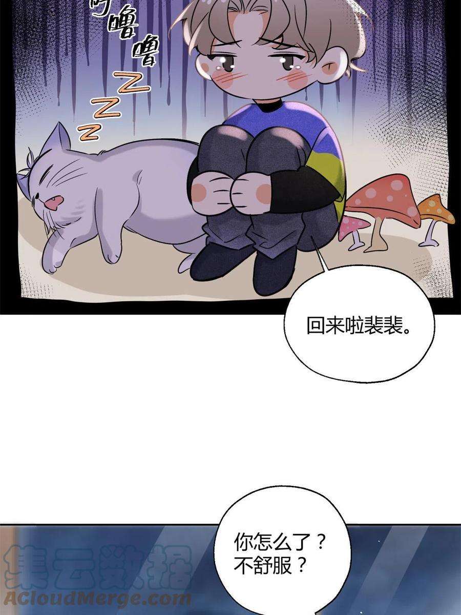 今天也要努力当只猫82 给老攻捏捏