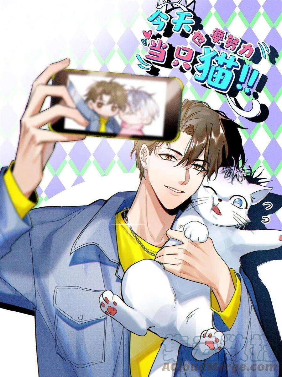 今天也要努力当只猫85 反攻大计