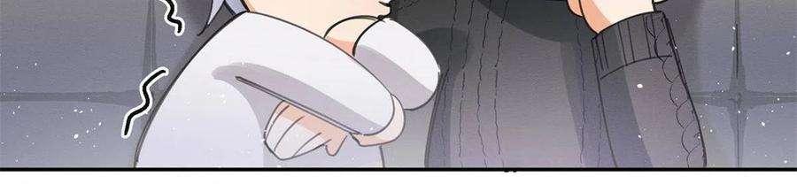 今天也要努力当只猫85 反攻大计