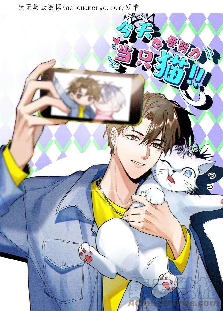 今天也要努力当只猫86 七夕礼物