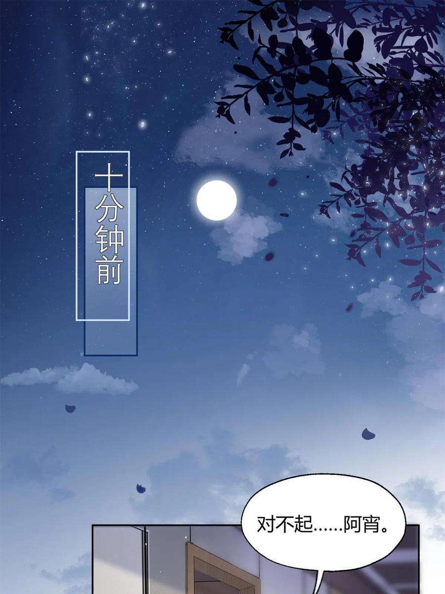 今天也要努力当只猫87 生辰八字送你