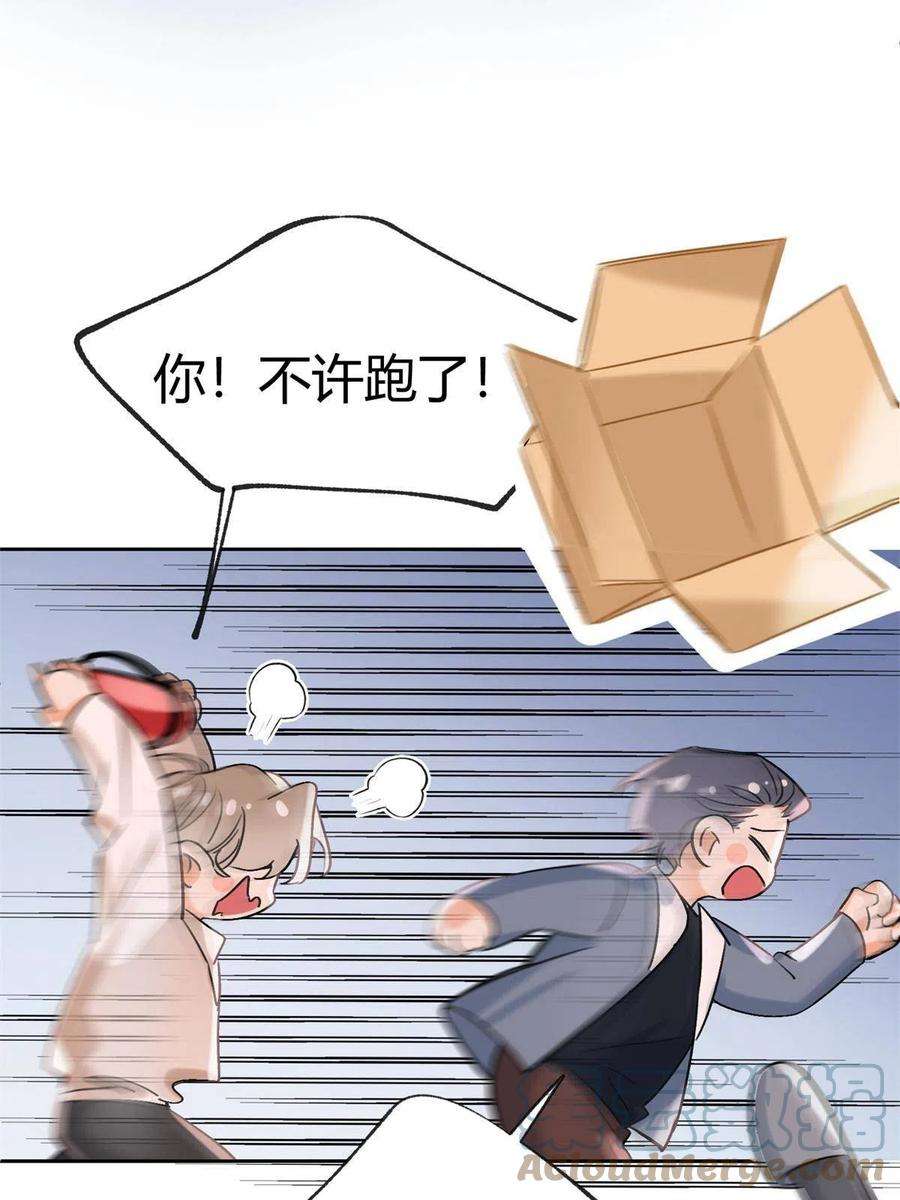 今天也要努力当只猫87 生辰八字送你